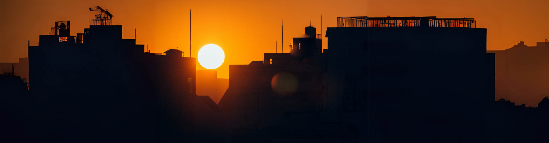 DXは「導入」ではなく、「育てる時代へ」